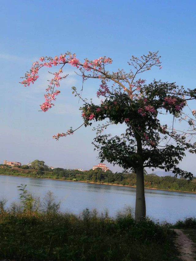 美丽的中华鳖养殖场风景.jpg